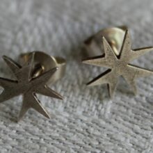 Sternohrstecker – Bild 2