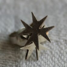 Sternohrstecker