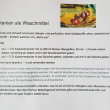 Kastanien Waschmittel – Bild 3