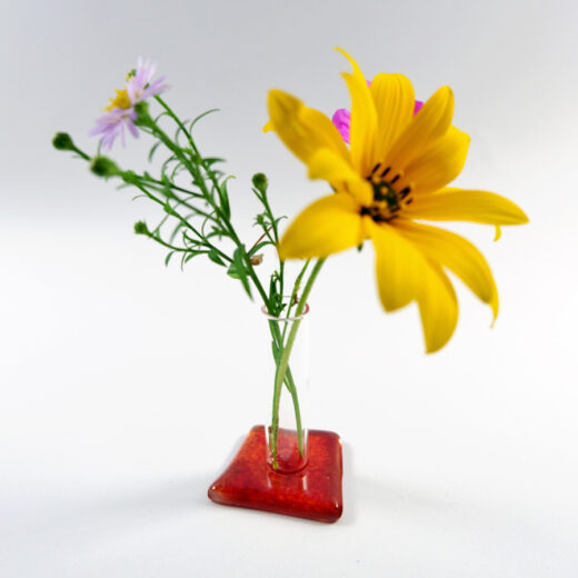 Gänseblümchenvase rot mit Blumen