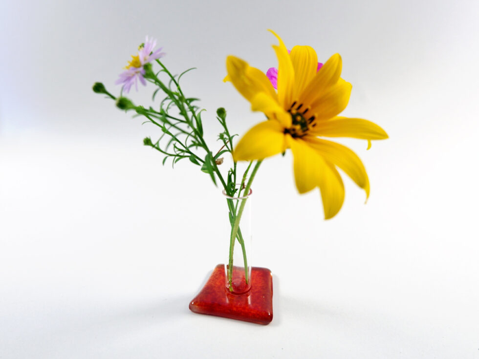 Gänseblümchenvase rot mit Blumen